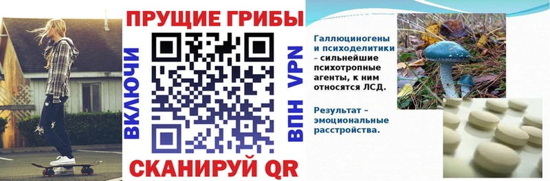 Купить закладки Щёлкино Галлюциногенные грибы мухоморы